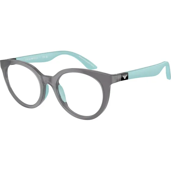 Emporio Armani Enfant EK3007 - Montures Optiques Pantos Gris Transparent