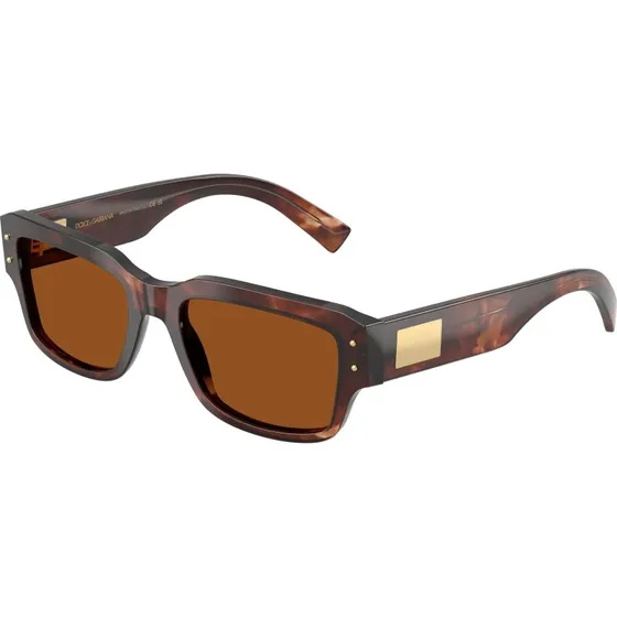 Dolce & Gabbana DG4483 Lunettes de soleil Carrées Rouge et Marron