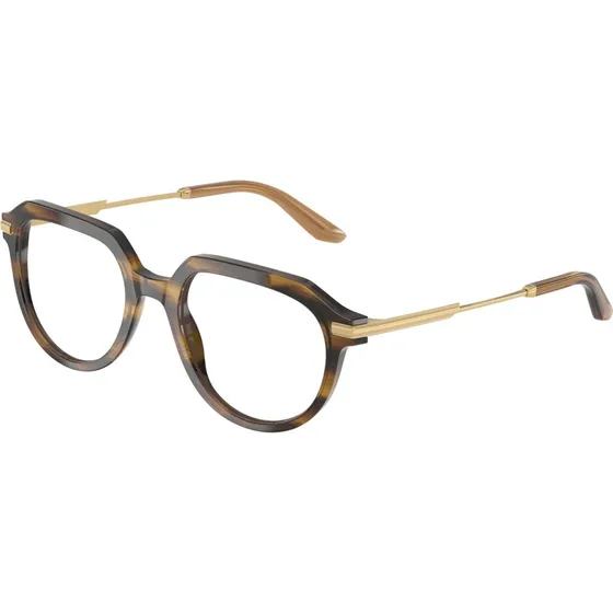 Dolce & Gabbana DG3402 Montures Optiques Pantos Marron Transparent