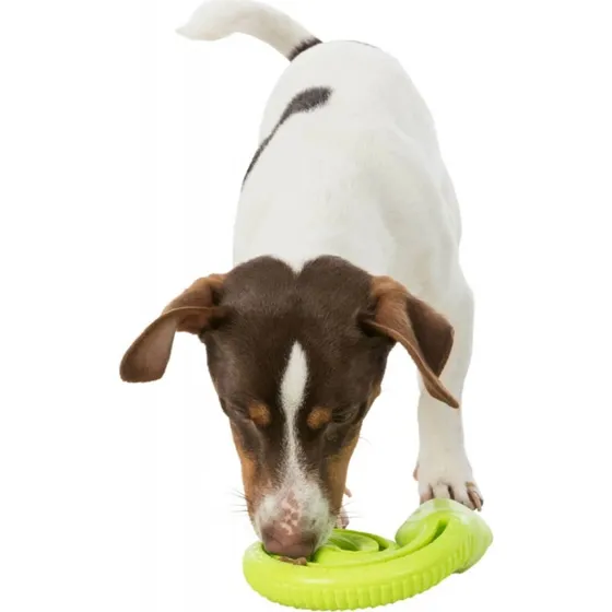Trixie Jouet Récompense Serpent en Caoutchouc 18cm