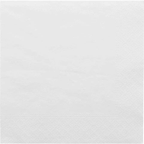 Ecolabel Serviettes 2 Plis 33x33 cm Blanc Ouate (2400 unités)