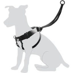 Flamingo Harnais Easy Walker L Noir