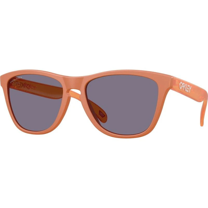 Oakley Frogskins OO9013 Lunettes de Soleil Marron et Gris