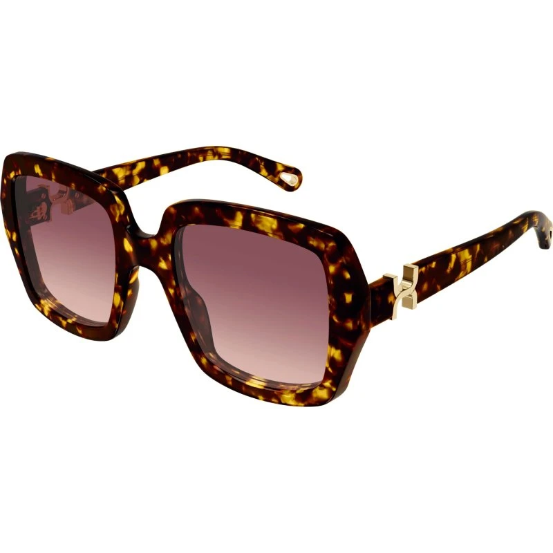 Chloé Lunettes de soleil CH0301S Carrées Marron Acétate