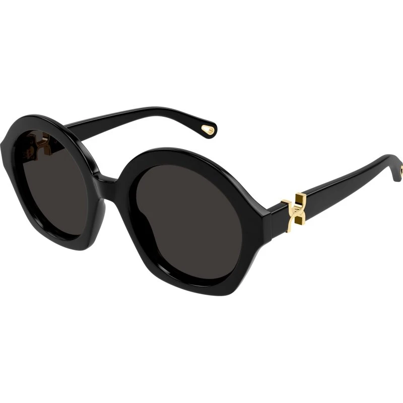 Chloé Lunettes de soleil CH0302S Rondes Noires