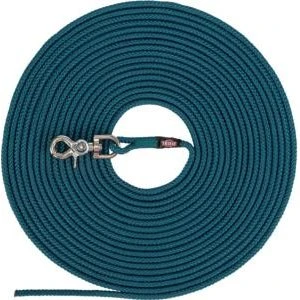 Trixie Laisse à Pister Ronde Pétrole