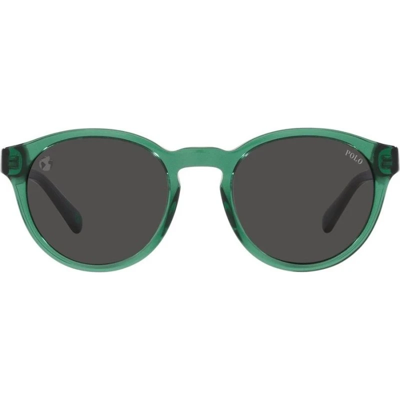 Polo Ralph Lauren PH 4192 Lunettes de Soleil Homme Vert Rondes