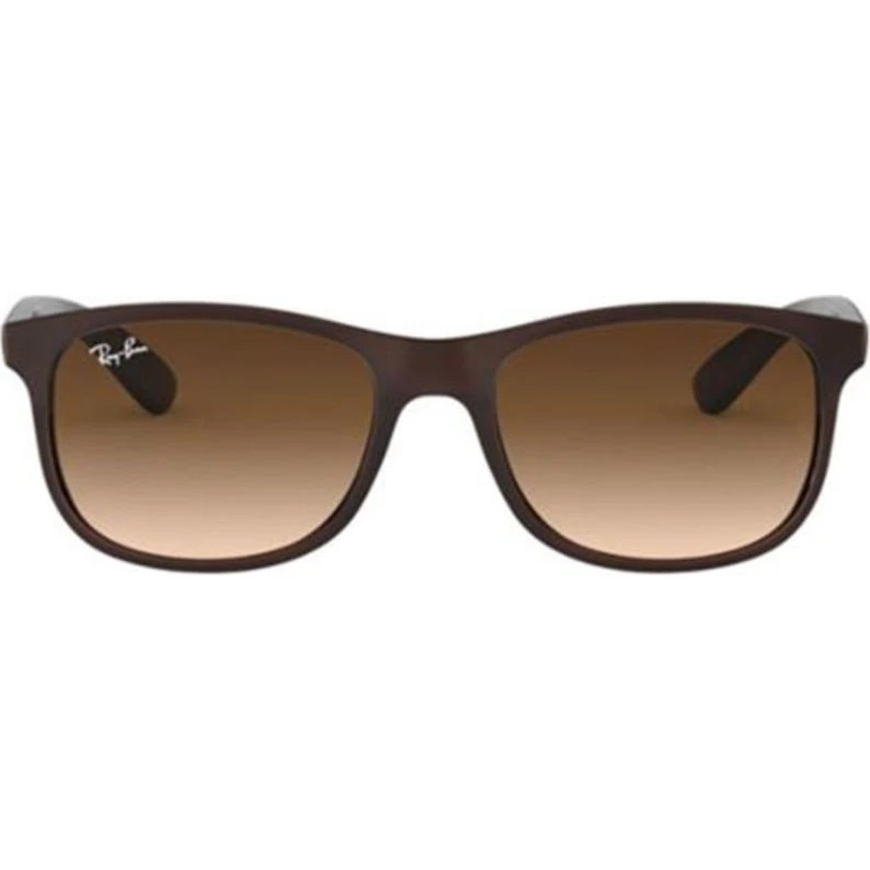 Ray-Ban Andy RB 4202 Lunettes de Soleil Carrées Marron Unisexe