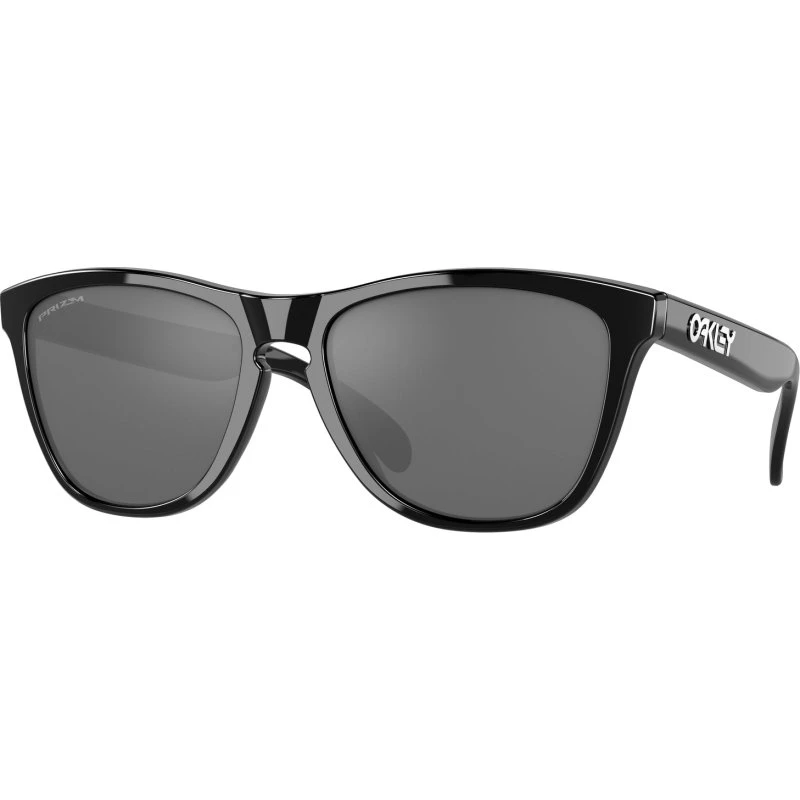 Lunettes de soleil Oakley Frogskins Noir et Gris
