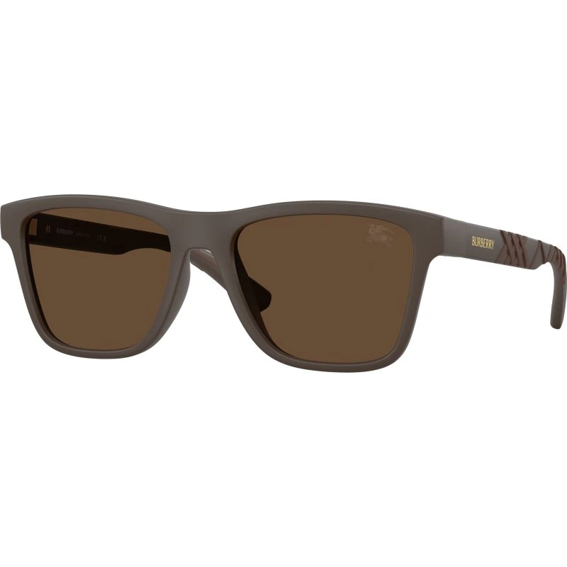 Burberry Homme BE4482U Lunettes de Soleil Carrées Marron