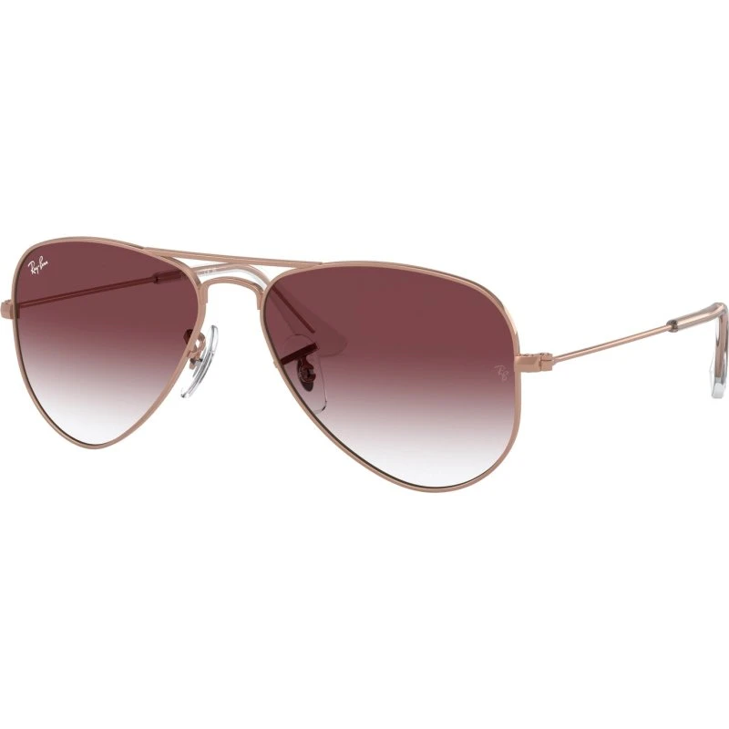 Ray-Ban Junior Aviator RJ9506S - Or et Violet