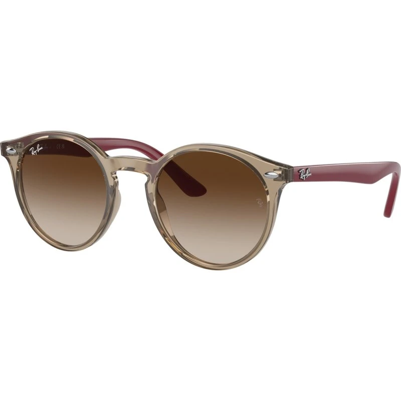 Ray-Ban Enfant RJ9064S Lunettes de Soleil Pantos Marron
