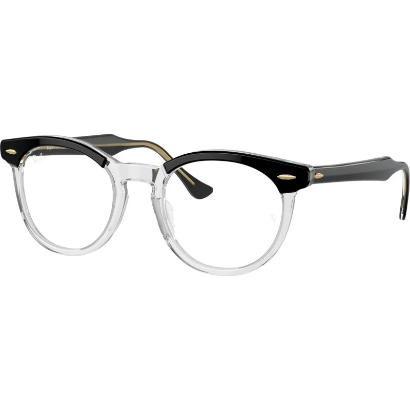 Ray-Ban RX5598 Eagleeye 2034 - Montures Optiques Carrées Noir Transparent