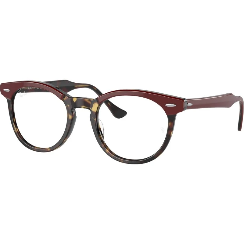 Ray-Ban RX5598 Eagle Eye Montures Optiques Carrées en Acétate Tortue