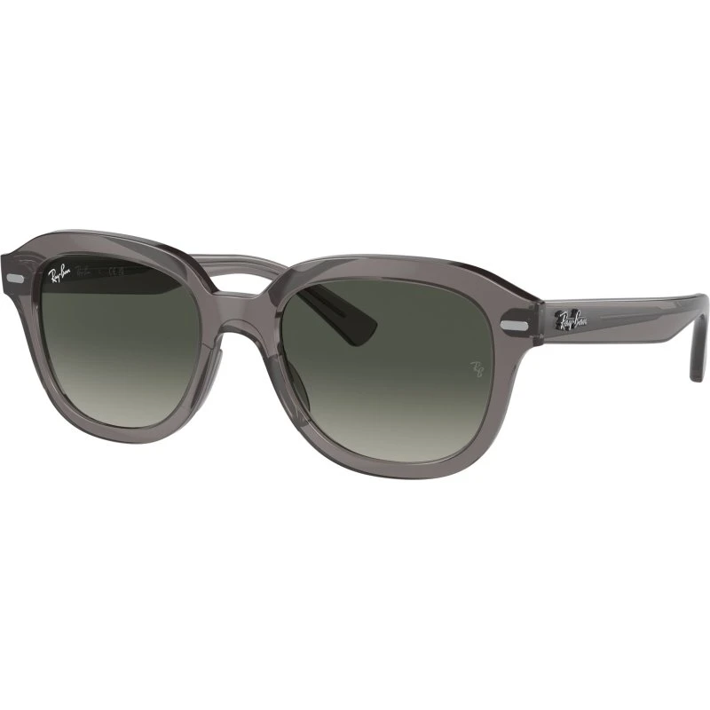 Ray-Ban RB4398 Erik Lunettes de Soleil Carrées en Acétate Gris
