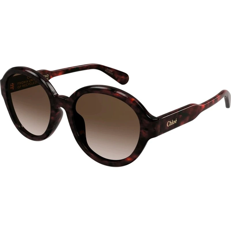 Chloé Lunettes de Soleil CH0156SK 002 Pantos Havane Marron