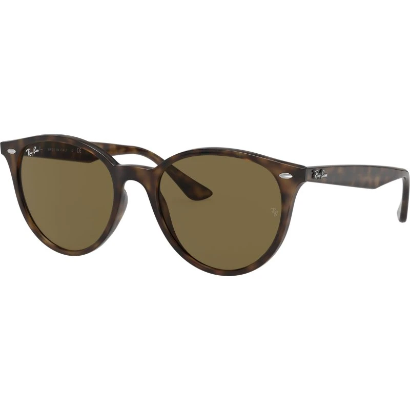 Ray-Ban RB4305 Lunettes de Soleil Pantos Écaille Marron