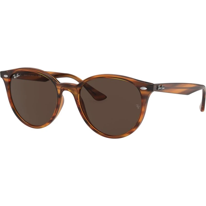 Ray-Ban RB4305 Lunettes de Soleil Pantos Rouge et Marron