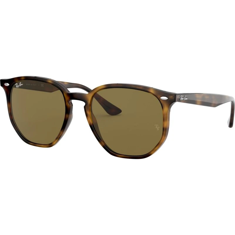 Ray-Ban RB4306 Lunettes de Soleil Géométriques Écaille de Tortue
