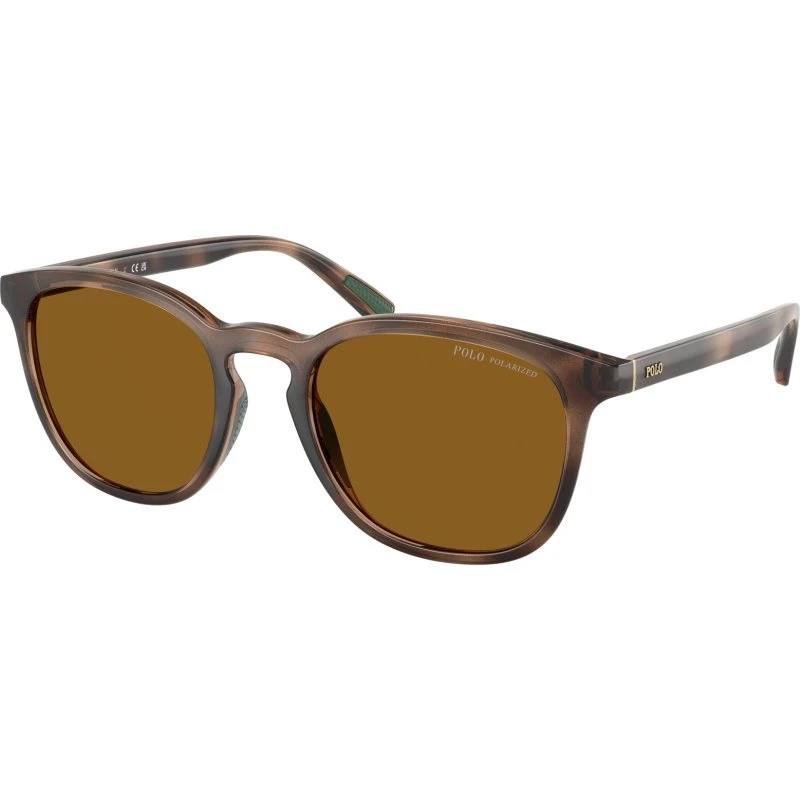 Polo Ralph Lauren PH4222U Lunettes de Soleil Rondes Écaille Tortue