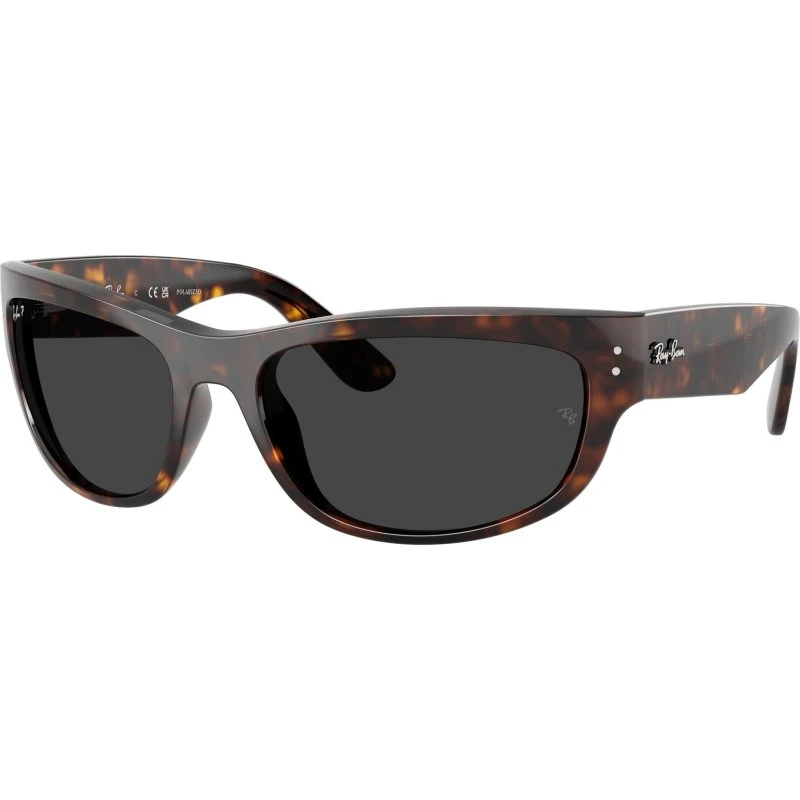 Ray-Ban RB2289 Mega Balorama Lunettes de Soleil Polarisées Écaille