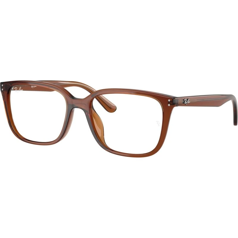 Ray-Ban RX7248D 8409 Montures Optiques Carrées en Acétate Marron