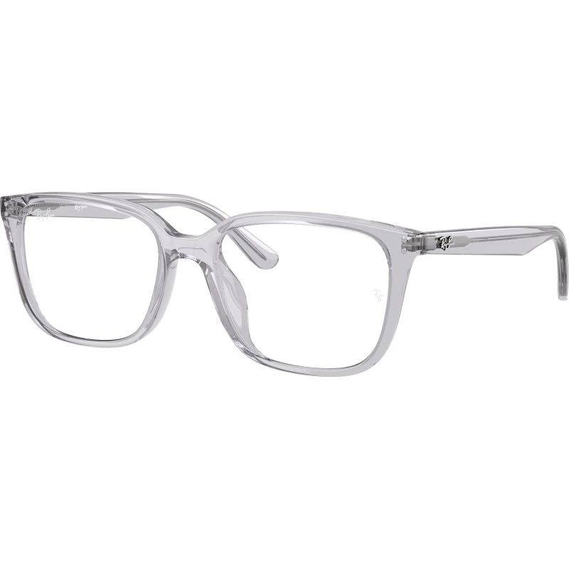 Ray-Ban RX7248D 8411 Montures Optiques Carrées en Acétate Gris