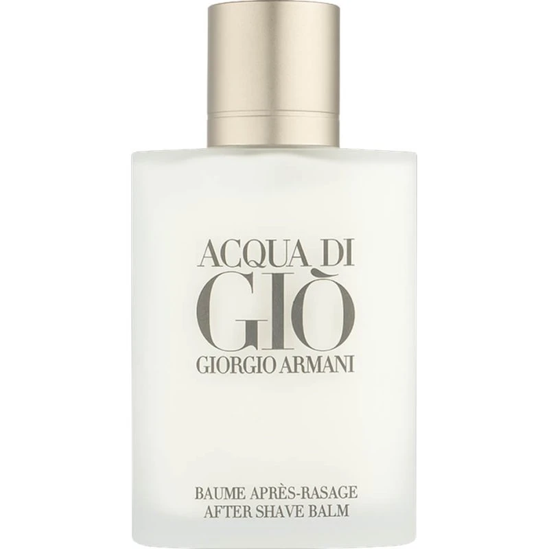 Giorgio Armani Acqua Di Gio Eau de Toilette pour Homme 100 ml