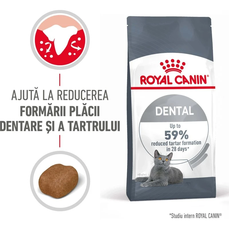 Royal Canin Dental Care Croquettes Chat, 400 g