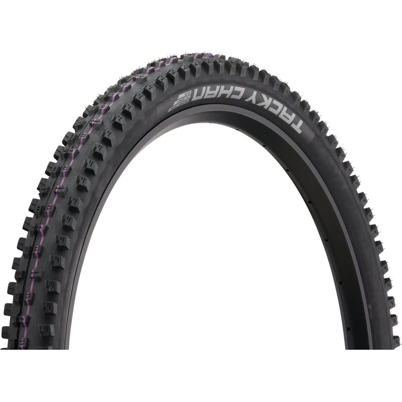 Schwalbe Tacky Chan Evo 29" Addix Ultra Soft Super Trail