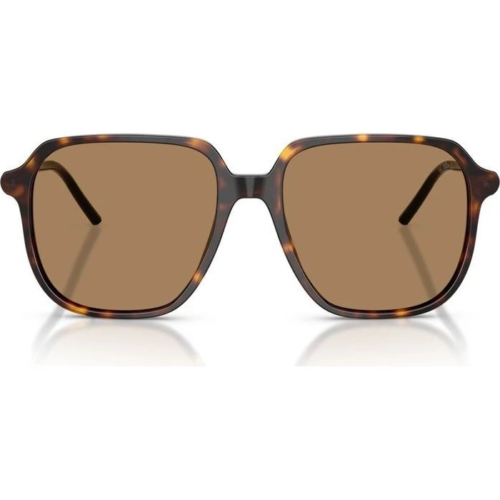 Moncler Lunettes de Soleil Cylin ME6010 Unisexe Havane Carrées