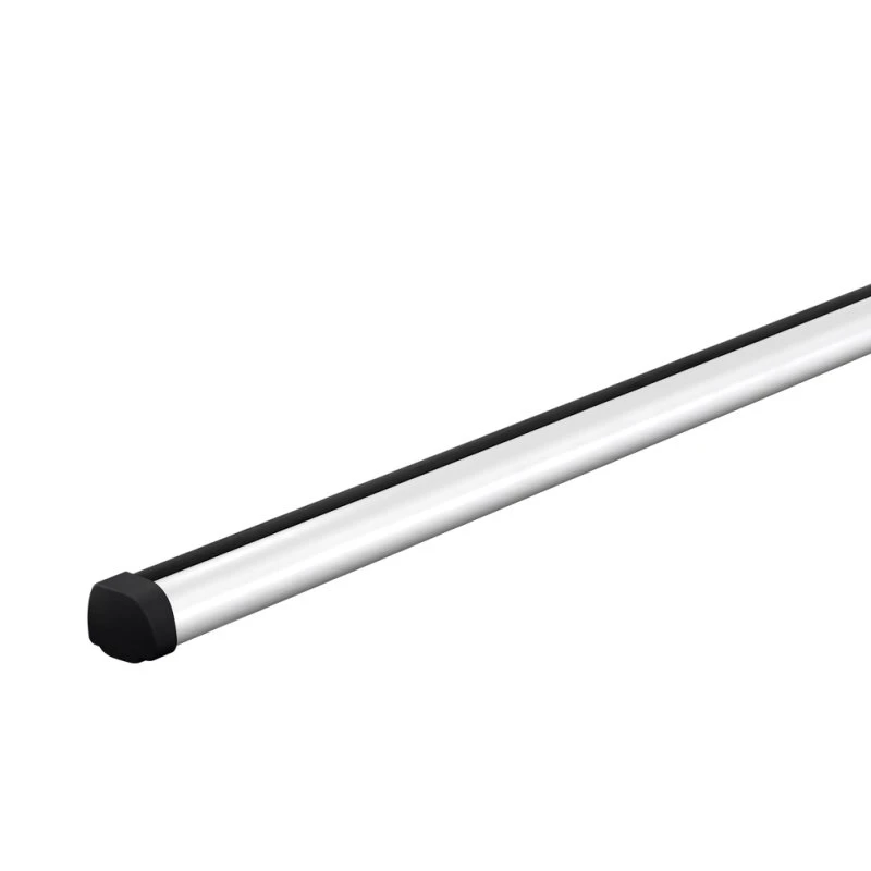 Thule ProBar Evo 395 - Barres de toit 220 cm argent