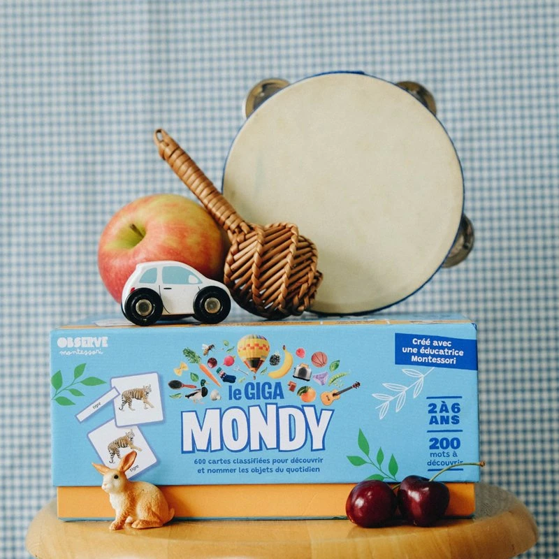 Giga Mondy Observe Montessori - 600 cartes