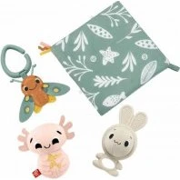 Fisher-Price Les Sens en Éveil - Coffret 4 Jouets Sensoriels HRB17