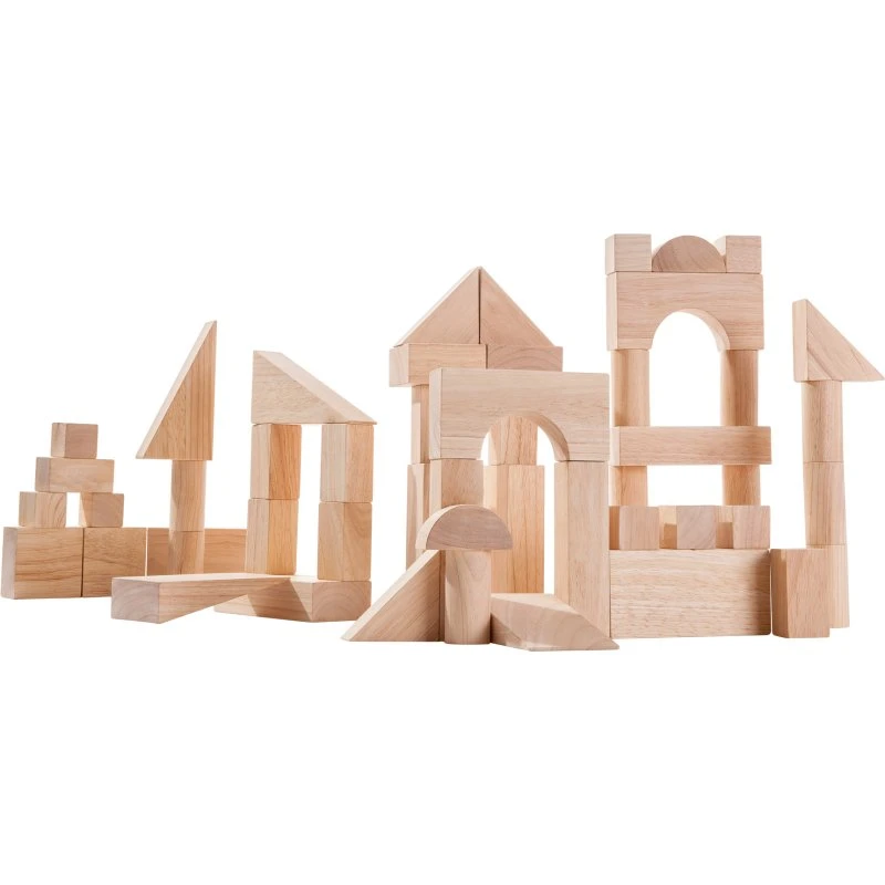 Plan Toys Blocs de Construction 50 Pièces