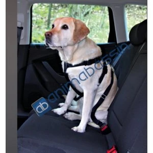 Harnais Chien Voiture L - SafetyPaws