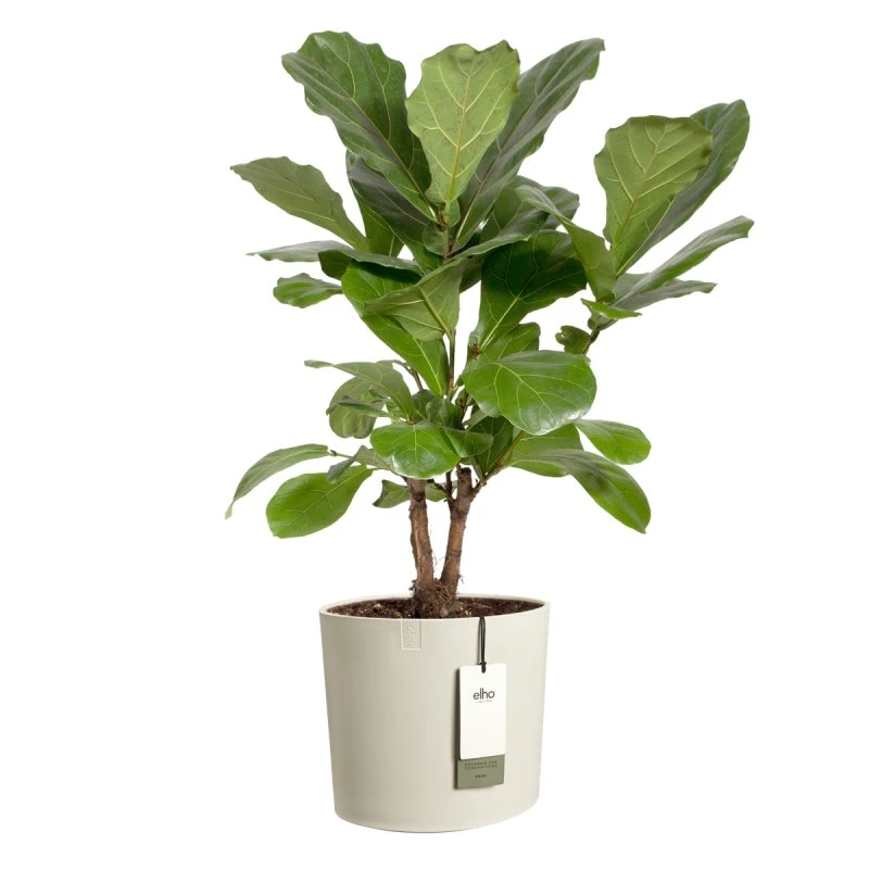 Elho Eden 30 cm Blanc Lin