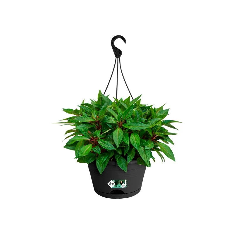 Elho Green Basics Suspension 28 cm Noir