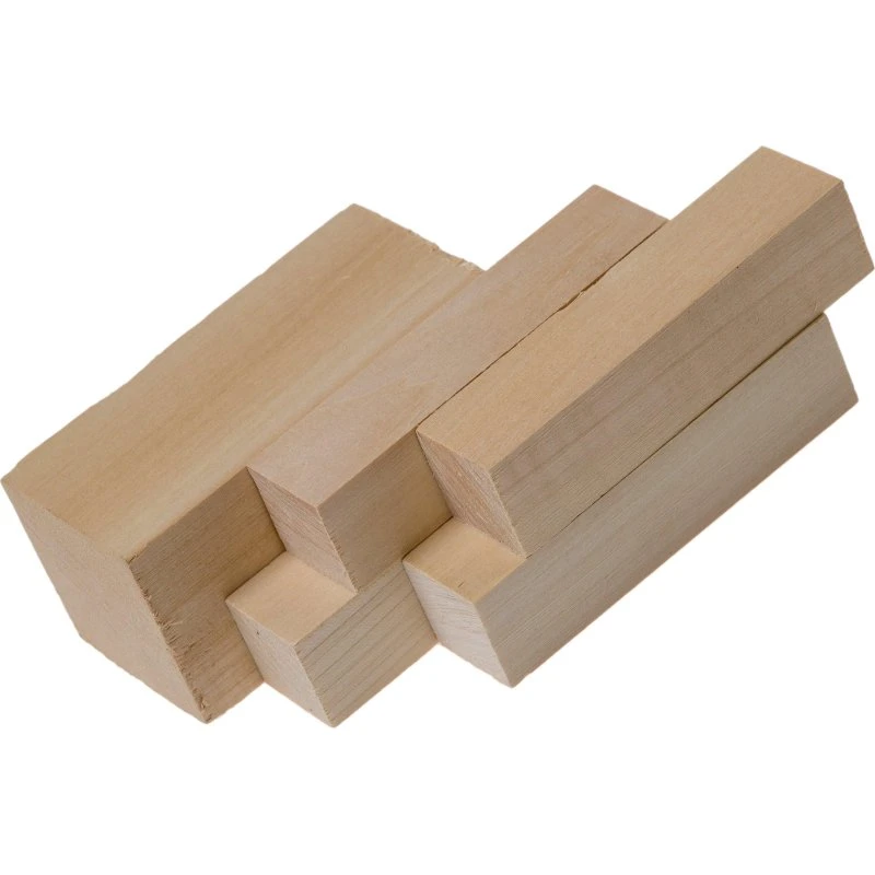 BeaverCraft BW1 - Cuillère en bois vierge, 5 pièces