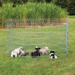 Trixie Enclos pour Chiots 8 Panneaux avec Portillon