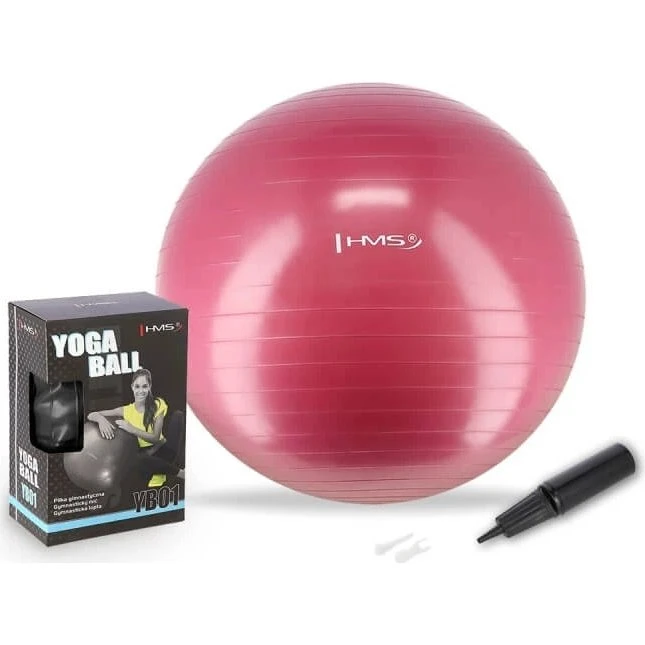 HMS YB01 Ballon de Gymnastique Antidérapant