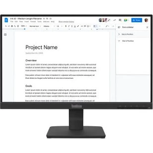 Lenovo ThinkVision S22-4E 21.5" Full HD Noir
