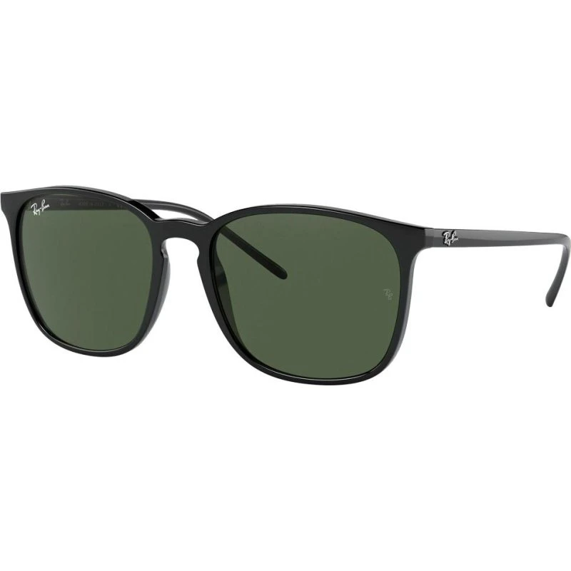 Ray-Ban RB4387 Lunettes de Soleil Noire Verre Vert G-15 56
