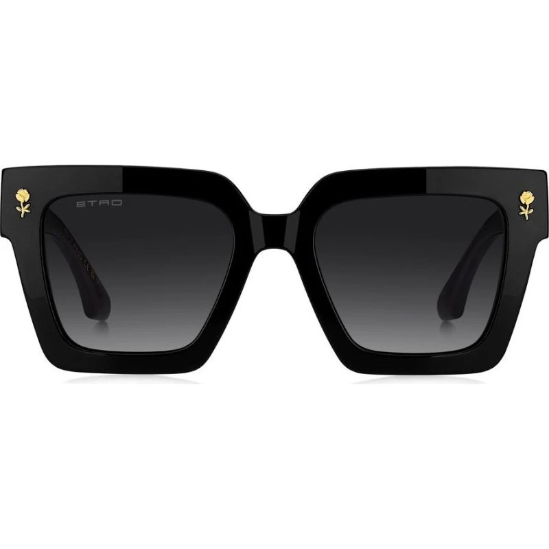 Etro 0113/S Lunettes de Soleil Papillon Noir et Verres Gris