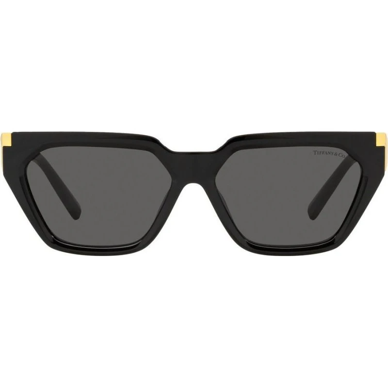 Tiffany & Co. TF 4205U Lunettes de Soleil Géométriques Noires et Grises