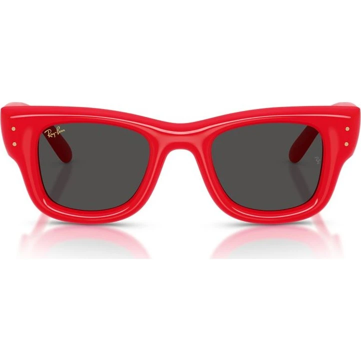 Ray-Ban Wayfarer Puffer A$AP Rocky RB4940 Lunettes de Soleil Rouges