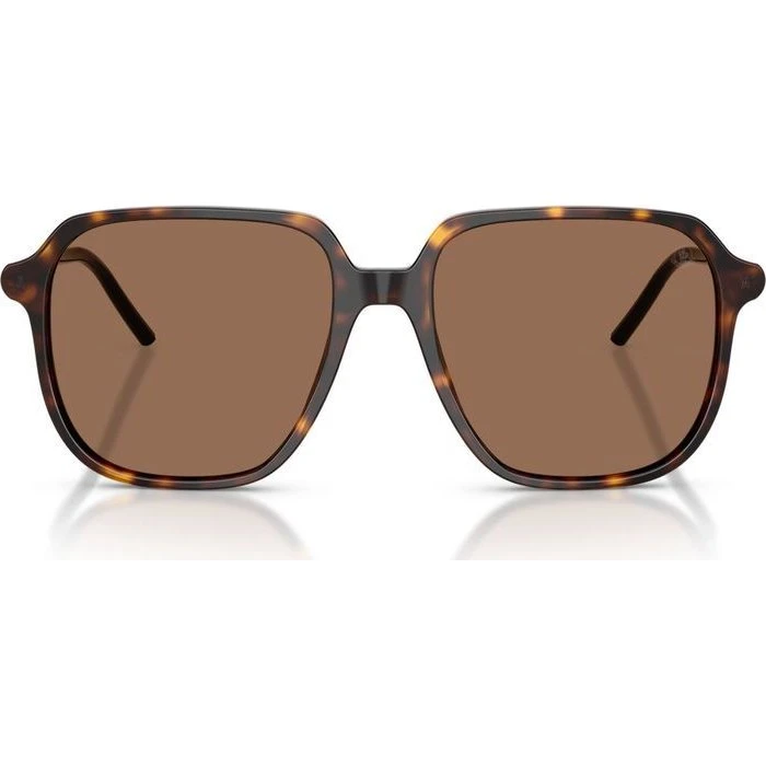 Moncler Cylin ME6010 Lunettes de Soleil Carrées Havane