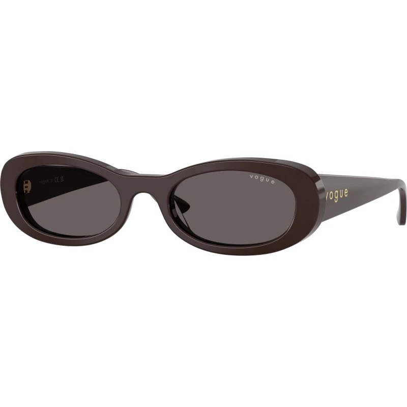 VOGUE EYEWEAR VO5582S Lunettes de soleil rondes en acétate Marron/Gris