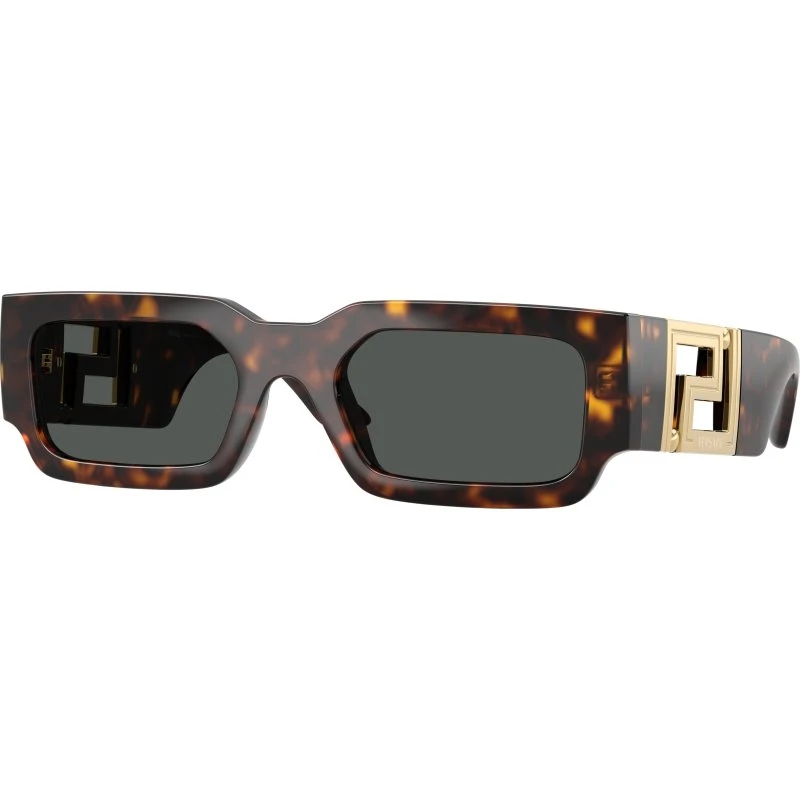 Versace Homme VE4506U 108/87 - Lunettes de soleil Carrées Écaille et Gris