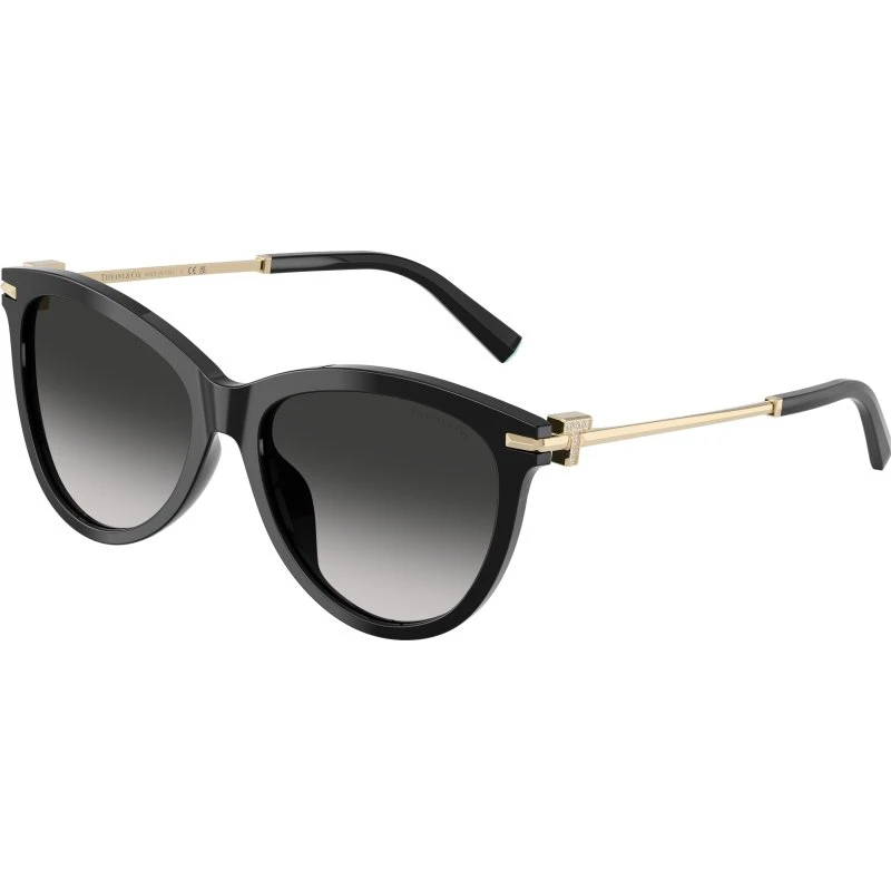 Tiffany TF4258BU Lunettes de soleil Pantos Noir et Gris pour Femme